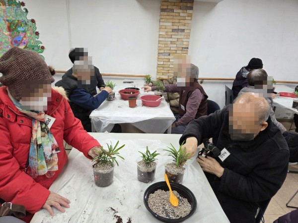 1247c7a1d6792eabba169b039332ff43_1769155